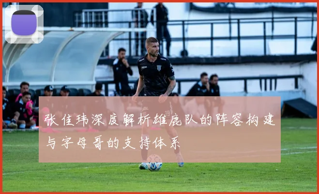 张佳玮深度解析雄鹿队的阵容构建与字母哥的支持体系
