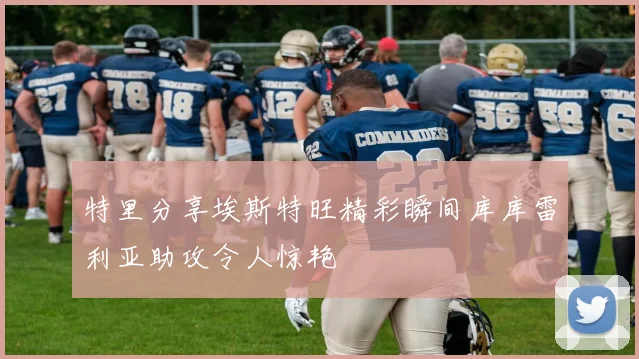 特里分享埃斯特旺精彩瞬间库库雷利亚助攻令人惊艳