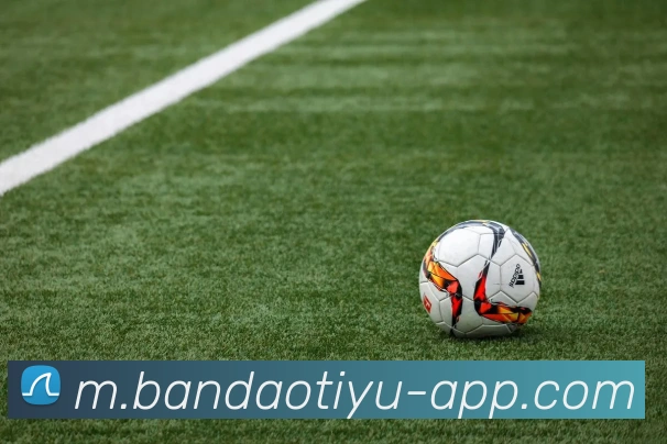 半岛体育服务体系